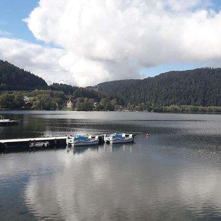 Chalet 3 Etoiles A Gerardmer. Eksteriør bilde