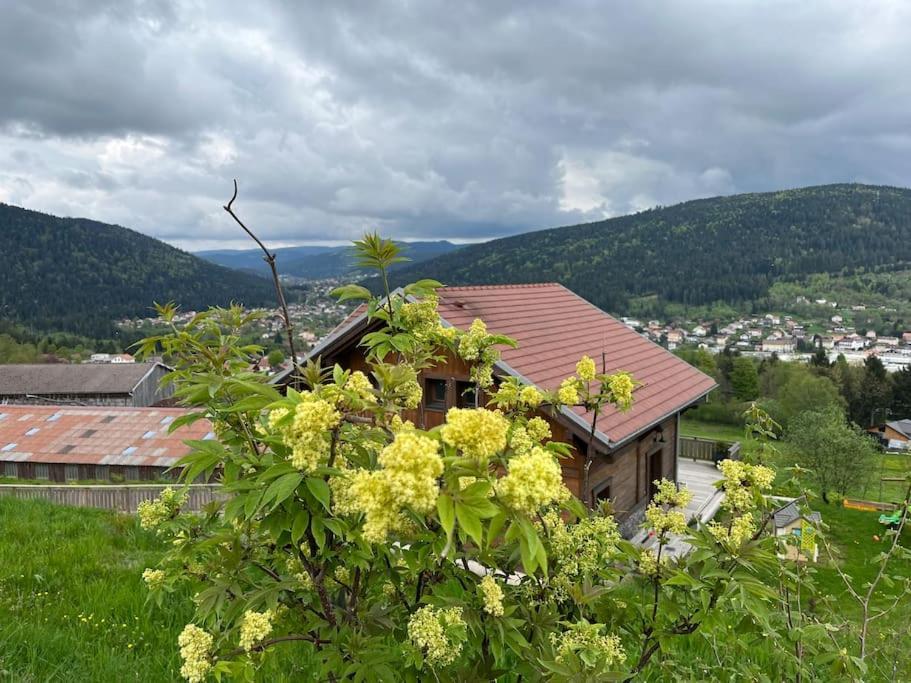 Chalet 3 Etoiles A Gerardmer. Eksteriør bilde