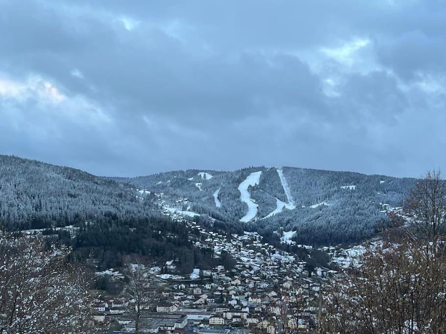 Chalet 3 Etoiles A Gerardmer. Eksteriør bilde