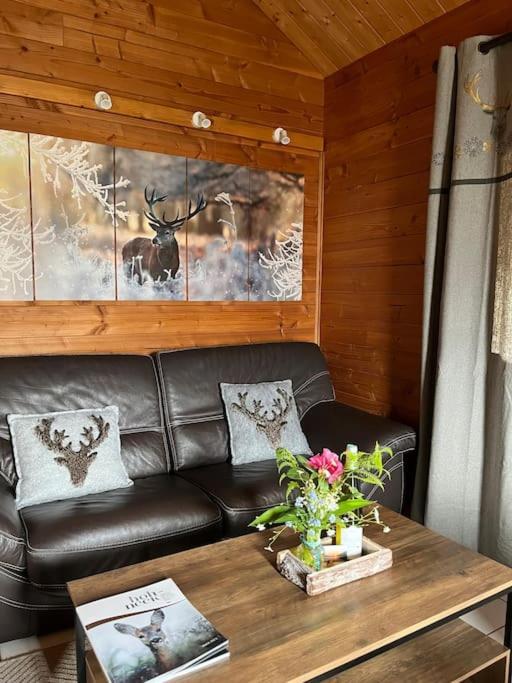 Chalet 3 Etoiles A Gerardmer. Eksteriør bilde