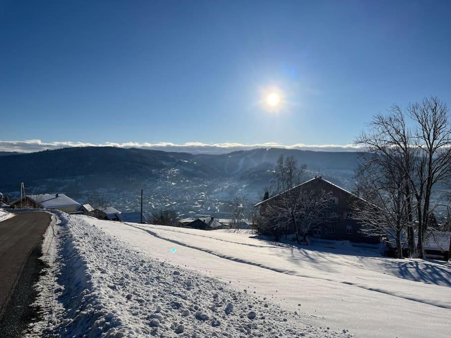 Chalet 3 Etoiles A Gerardmer. Eksteriør bilde