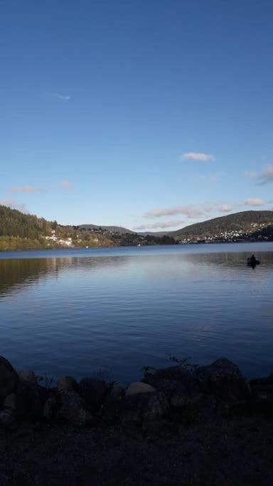 Chalet 3 Etoiles A Gerardmer. Eksteriør bilde