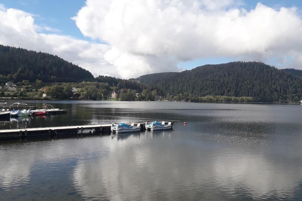 Chalet 3 Etoiles A Gerardmer. Eksteriør bilde